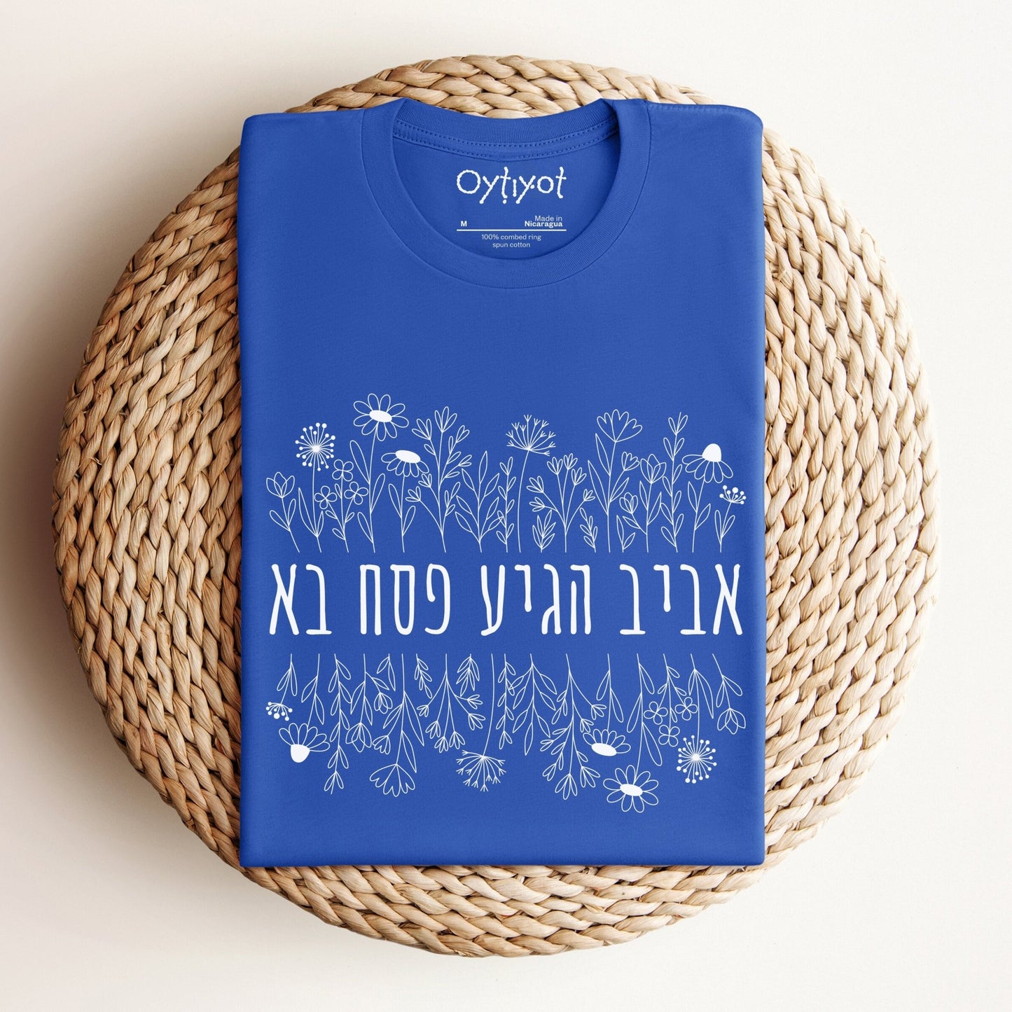 פסח בא | Passover Hebrew T-shirt - Oytiot