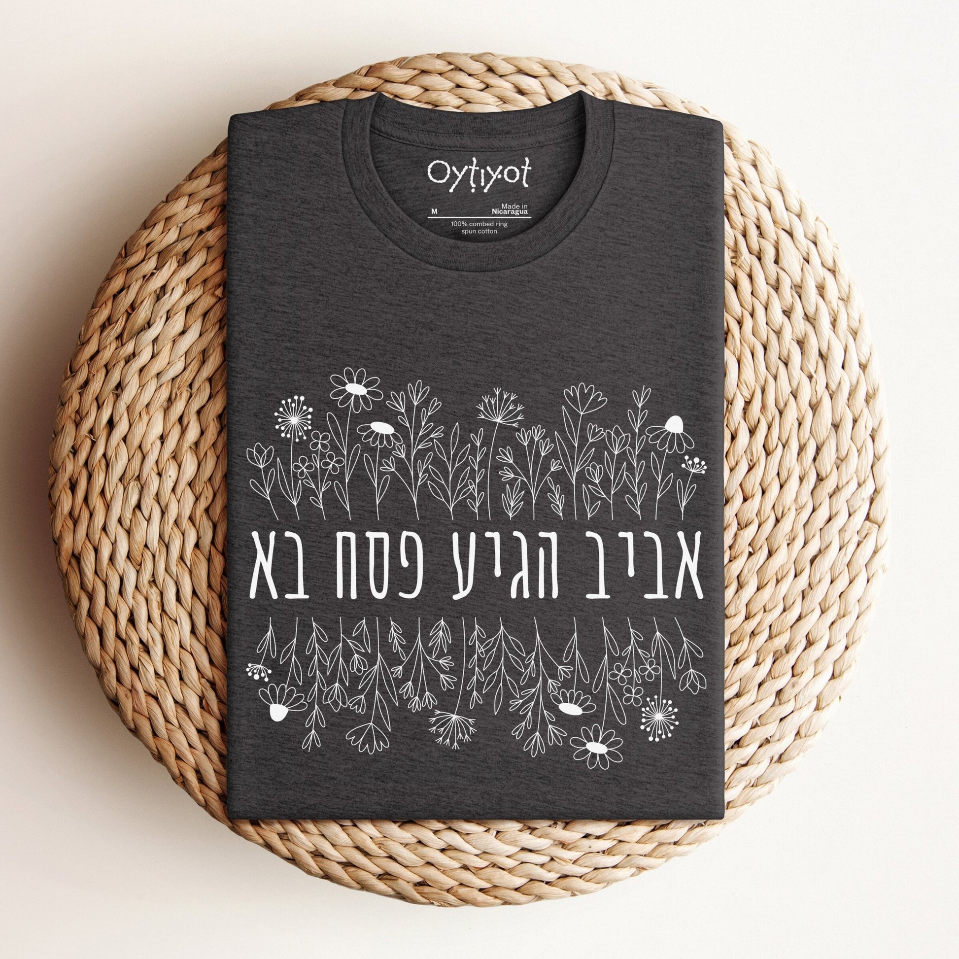 פסח בא | Passover Hebrew T-shirt - Oytiot