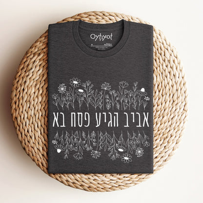 פסח בא | Passover Hebrew T-shirt - Oytiot