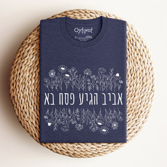 פסח בא | Passover Hebrew T-shirt - Oytiot