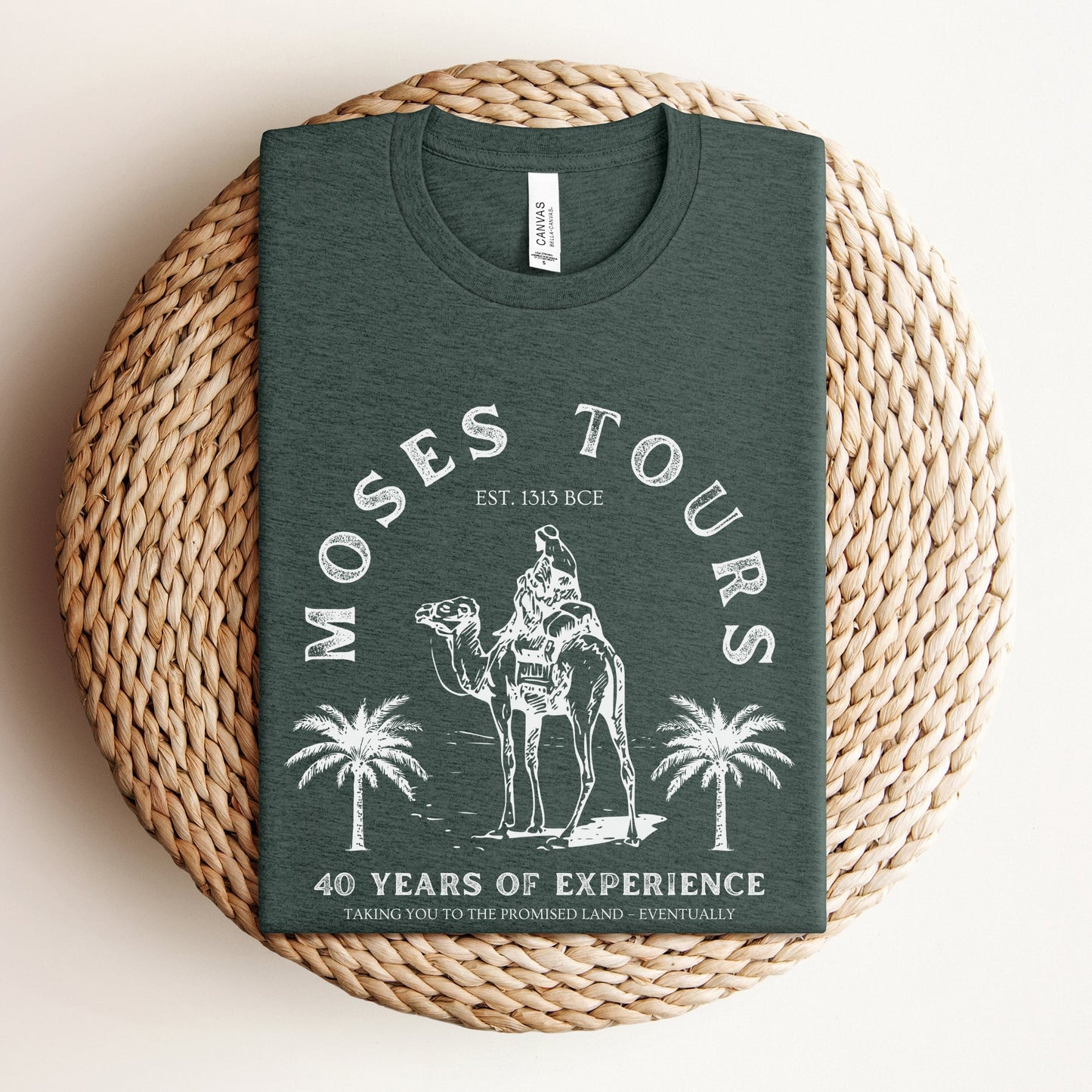 Moses Tours | Jewish Humor Passover T-shirt - Oytiot