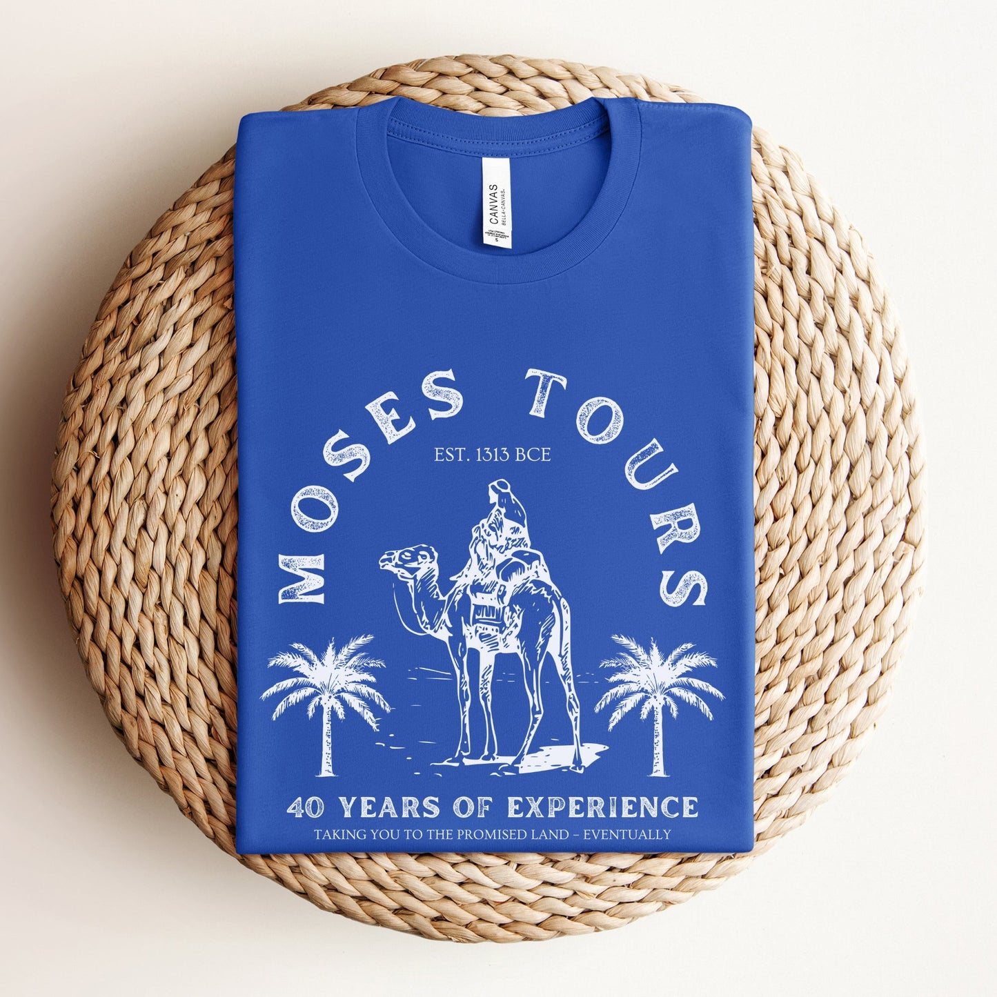 Moses Tours | Jewish Humor Passover T-shirt - Oytiot