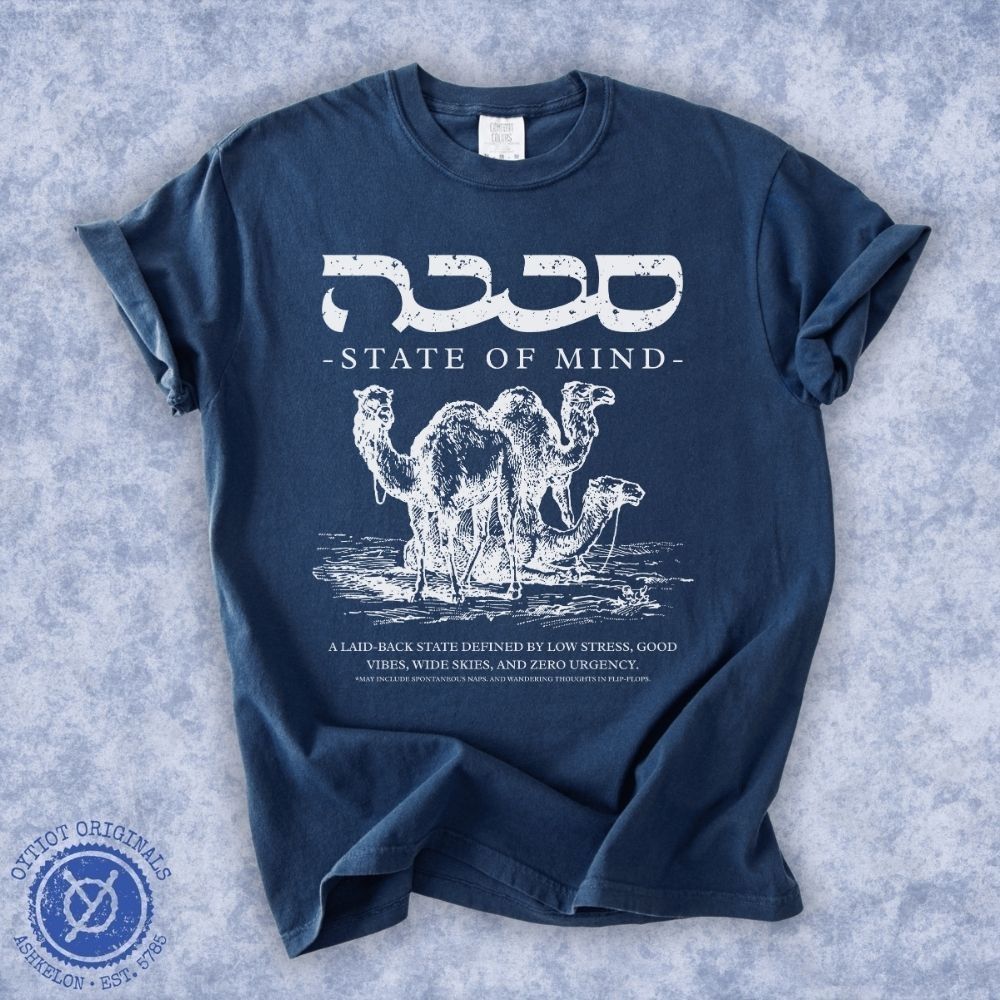 סבבה State of Mind | Israeli Slang Washed T-shirt - Oytiot