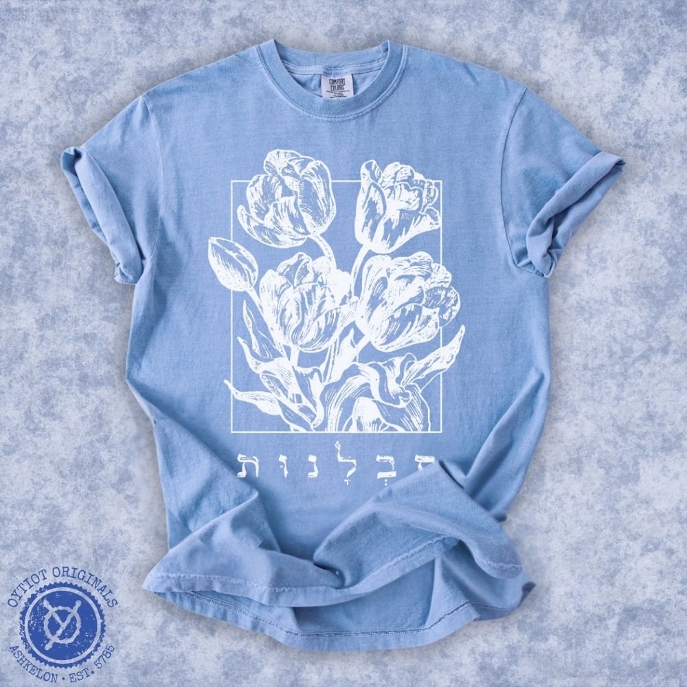 סבלנות | Patience In Hebrew Washed T-shirt - Oytiot