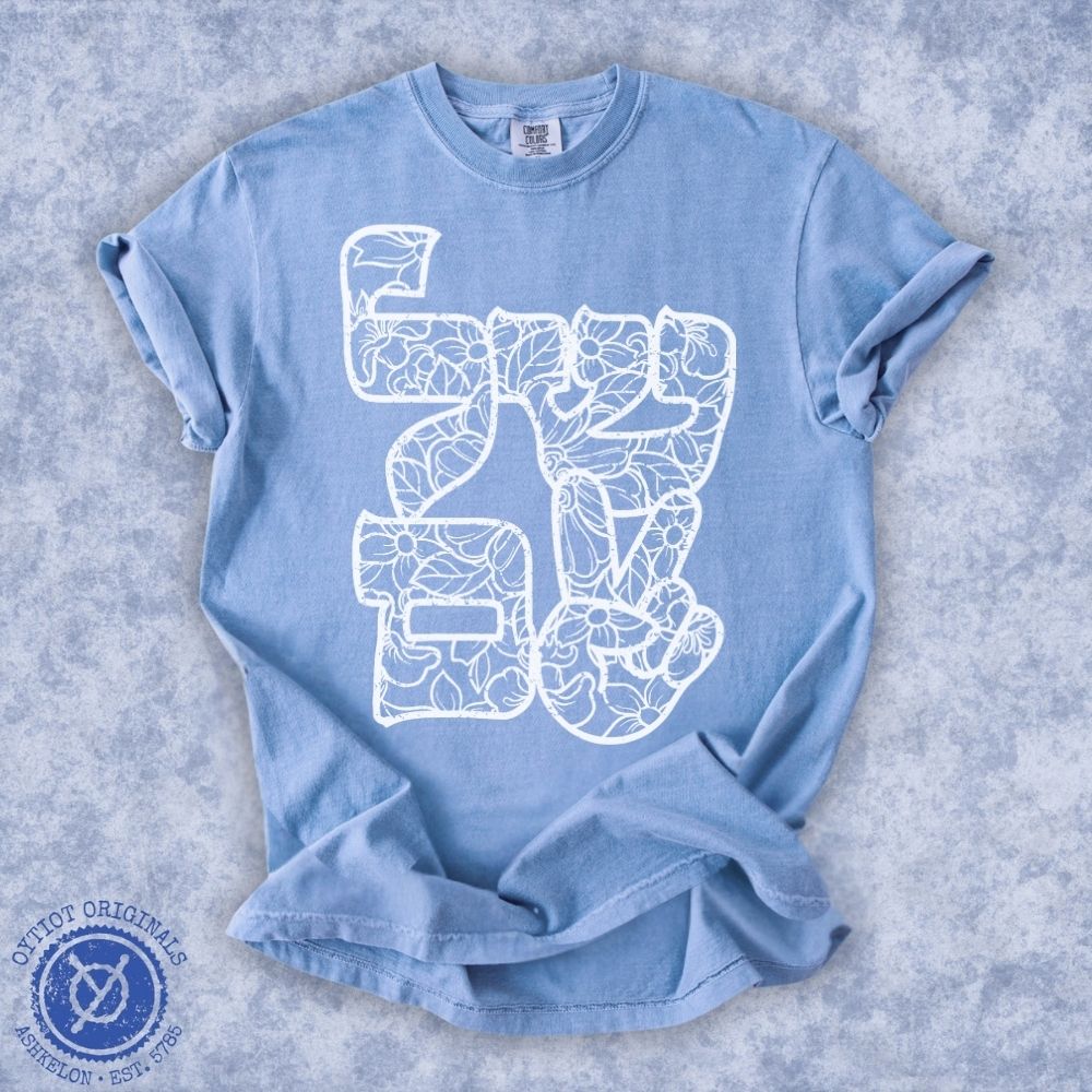 שלום | Peace In Hebrew Washed T-shirt - Oytiot