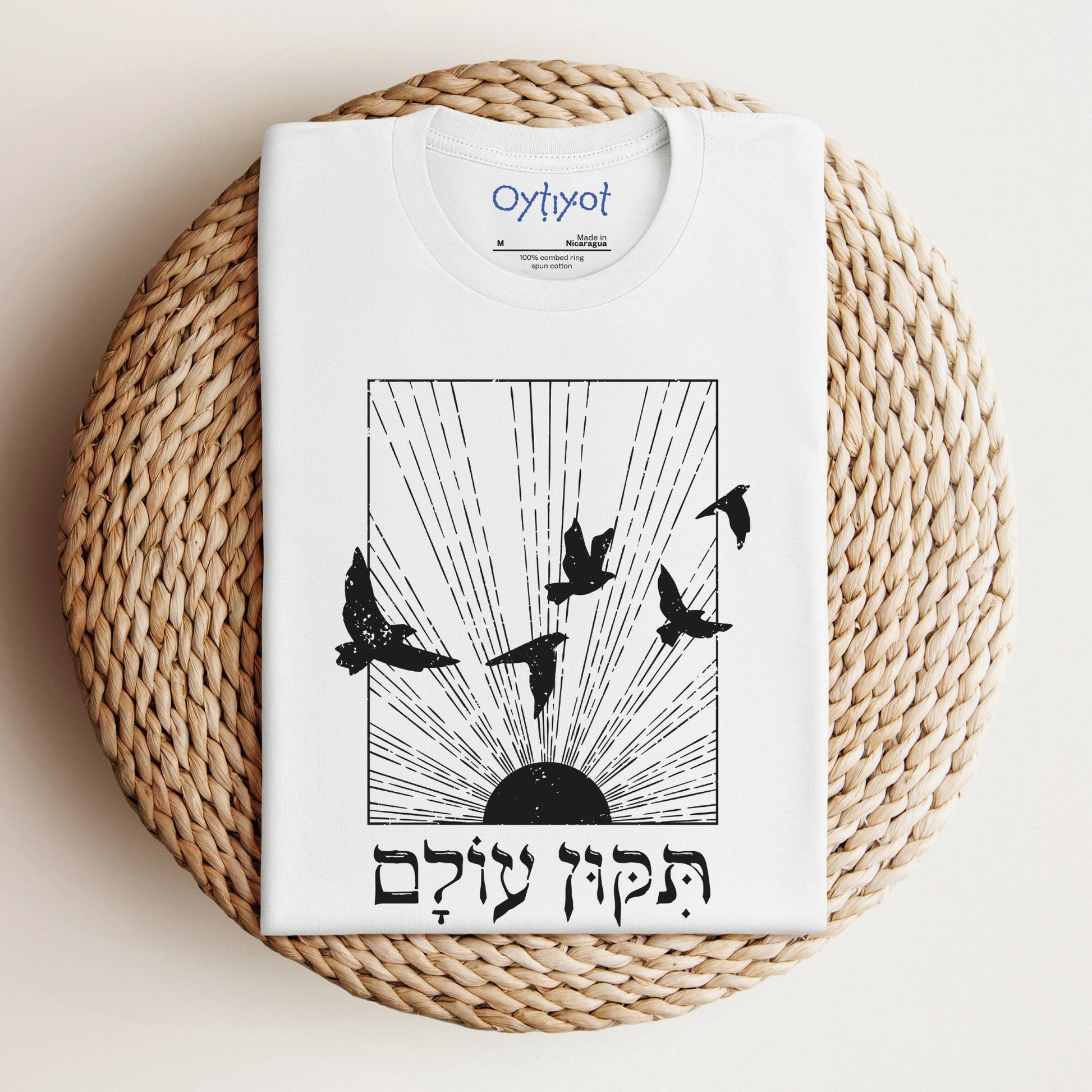 תיקון עולם | Repair The World In Hebrew T-shirt - Oytiot