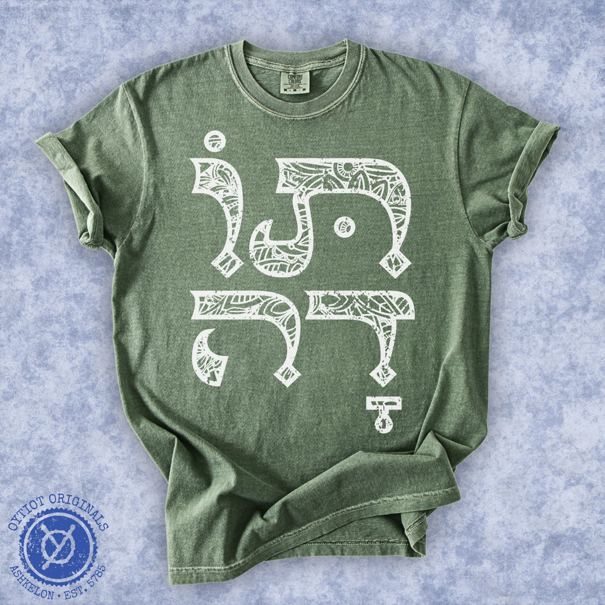 תודה | Thank you In Hebrew Washed T-shirt - Oytiot