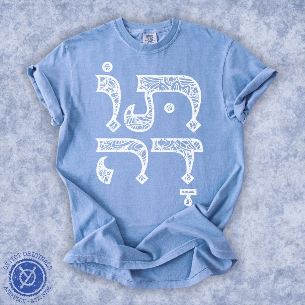 תודה | Thank you In Hebrew Washed T-shirt - Oytiot