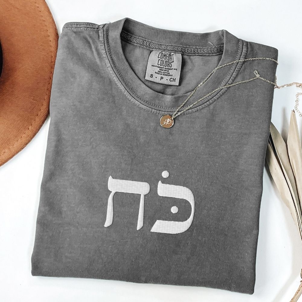 כוח | Power In Hebrew Embroidered Washed T-shirt - Oytiot