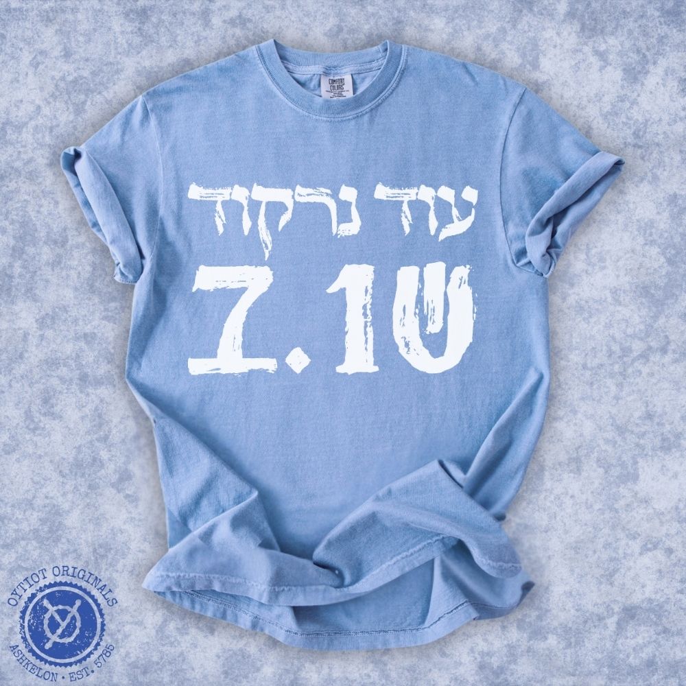 עוד נרקוד שוב | October 7 Washed T-shirt - Oytiot