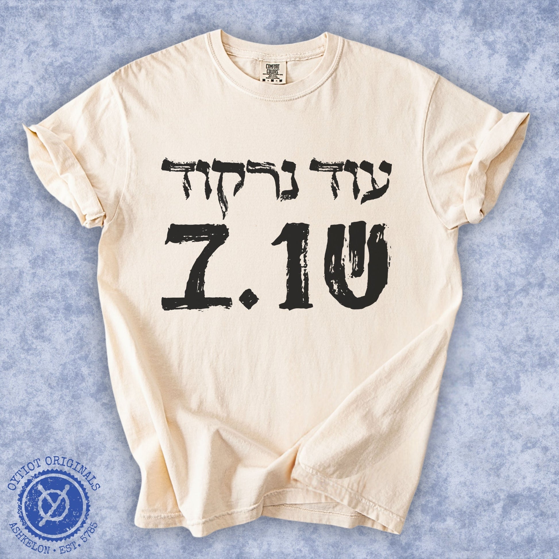 עוד נרקוד שוב | October 7 Washed T-shirt - Oytiot