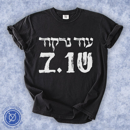 עוד נרקוד שוב | October 7 Washed T-shirt - Oytiot
